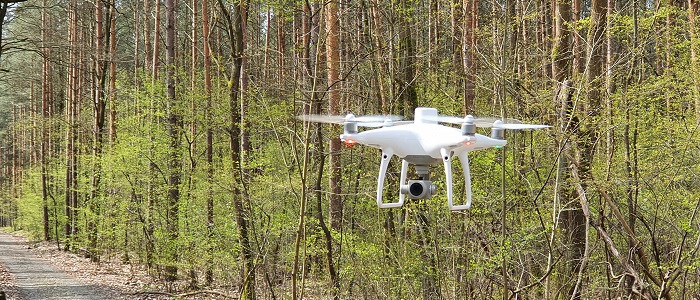 Dronenbefliegung in der Forst